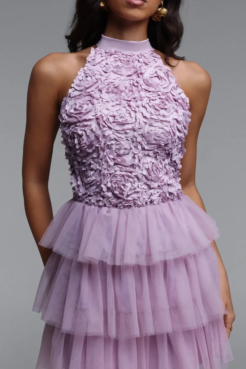 Imagem 5