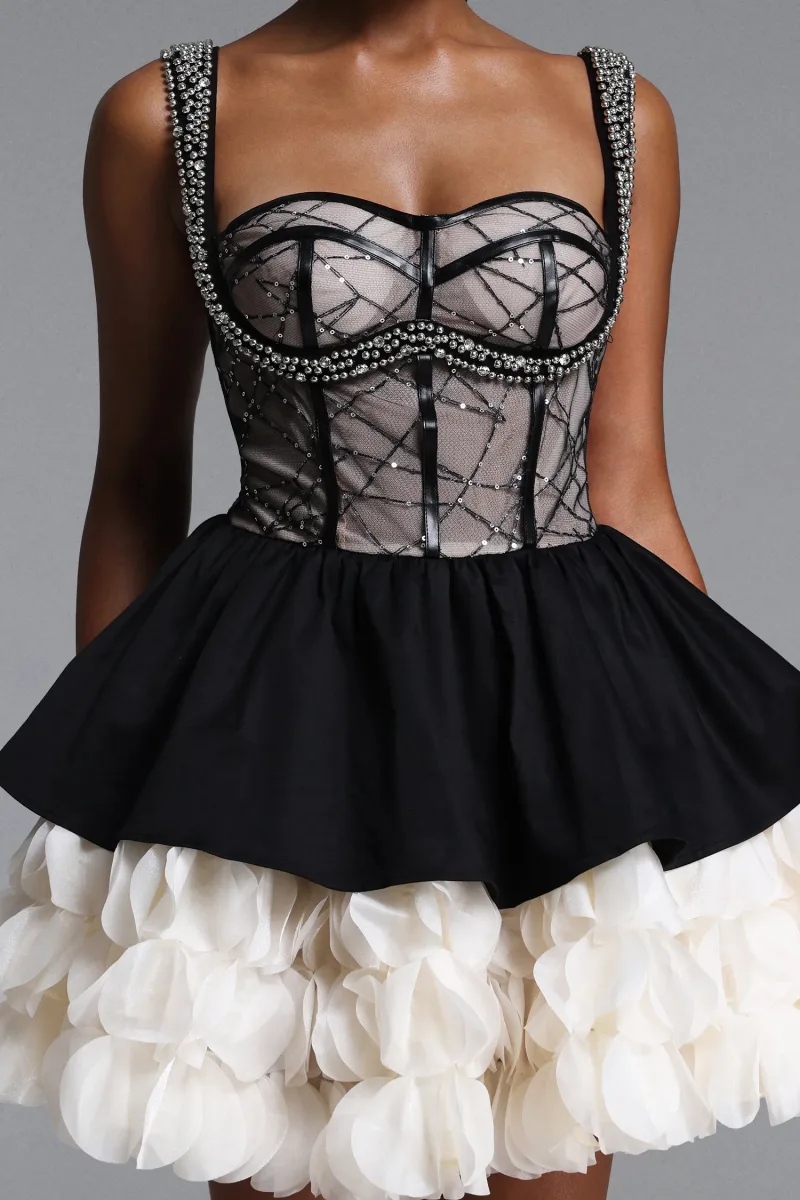 Imagem 5