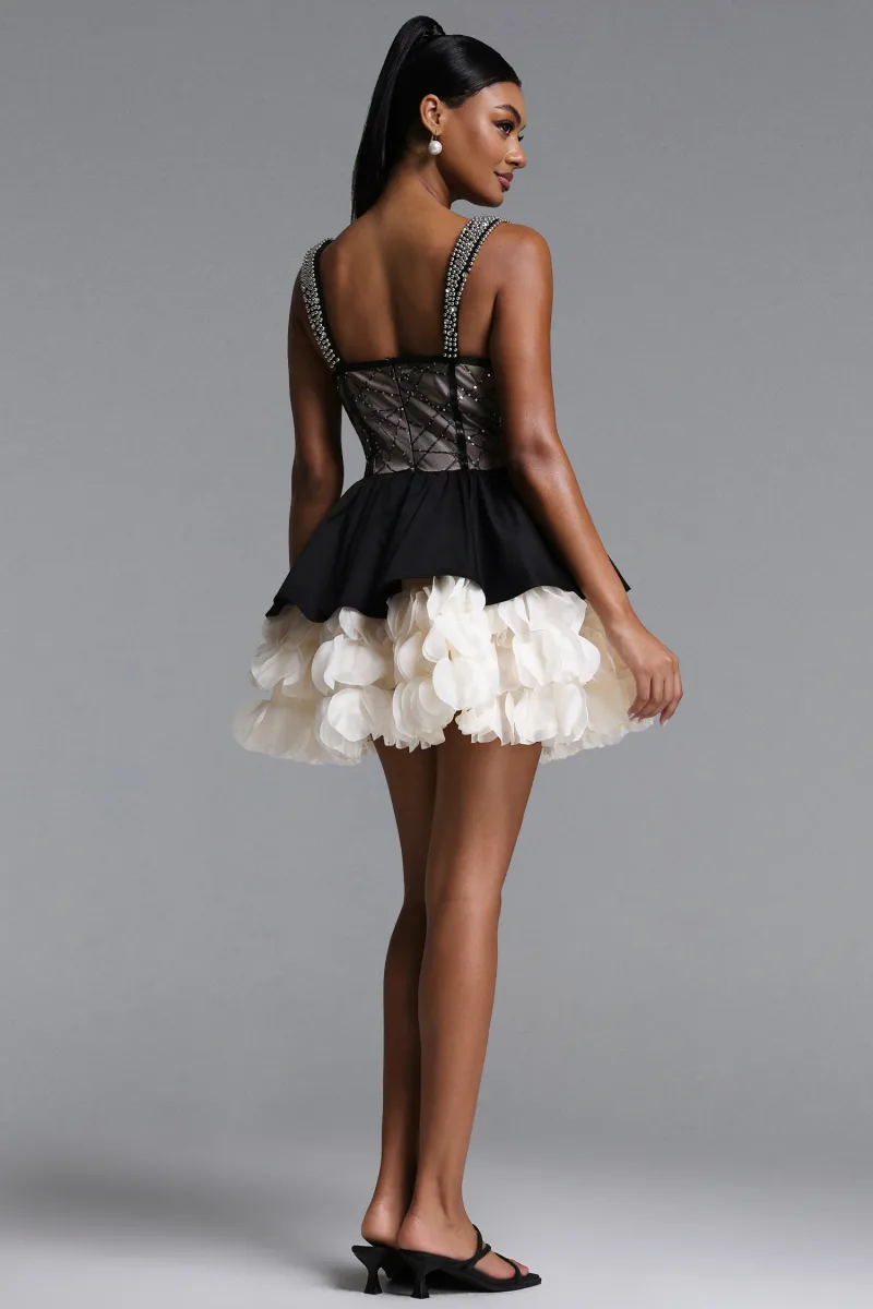 Imagem 6