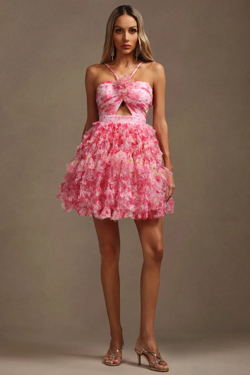 Imagem 3