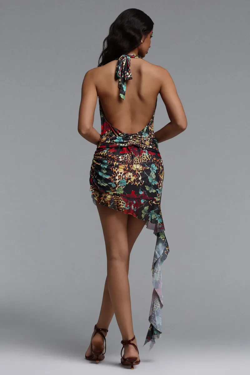 Imagem 6