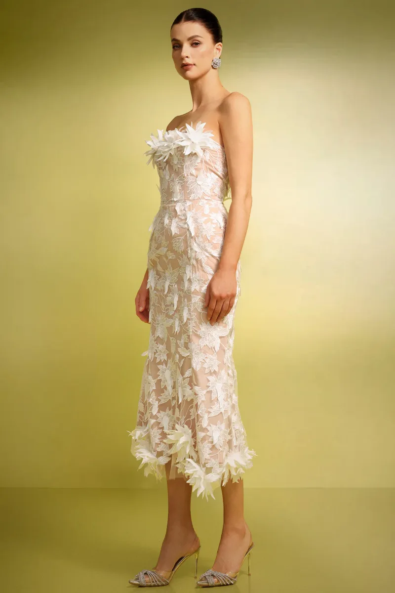 Imagem 10